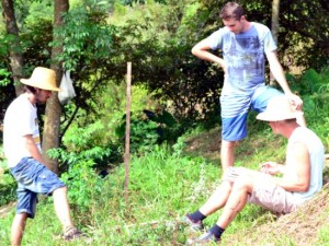 Arno, Jefferson e Reinaldo de Souza na área de SAF que receberá a introdução de galinhas no manejo.